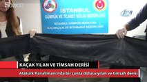 Atatürk Havalimanı’da yılan ve timsah derisi yakalandı