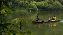 Brésil: Les coupes budgétaires menacent l'Amazonie