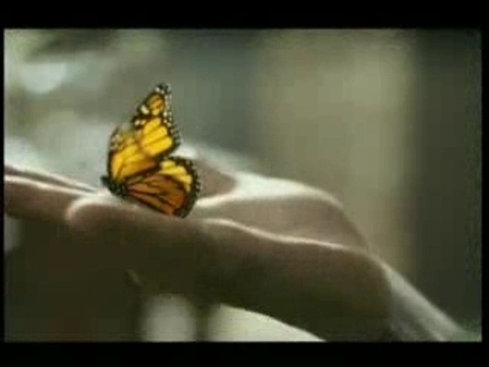 Johnnie Walker - Human Video Two BG AUDIO