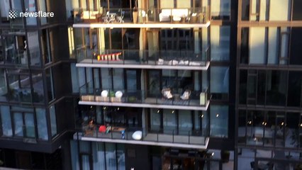 Dog follows soccer ball from balcony up above