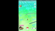 Pokémon GO 60 EGG HATCHINGS Double Candies 10k x3 5k & 2k Rare pokémon & common