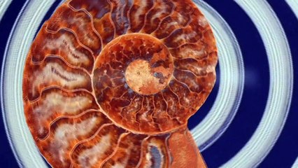 Fragments sur le temps