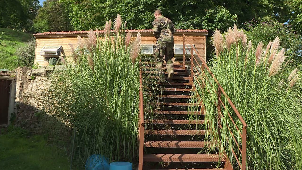 Europas letzte Militär-Brieftauben