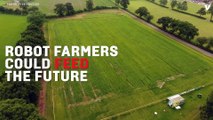 Robots And Drones Harvested The World's First Autonomously-Farmed Crop