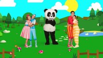 Panda e Os Caricas - Canção Dos Abraços