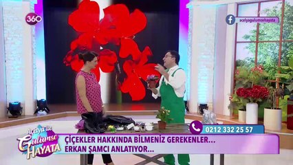 Evde çiçek bakımı