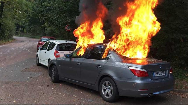41 interpellations lors d'une Chasse aux DRH au bois de Boulogne