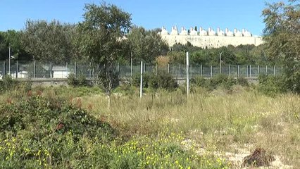 Başkan Mustafa Demir, "Bizim Önerimizle Burası Asla ve Asla İnşaata Açılmayacak"