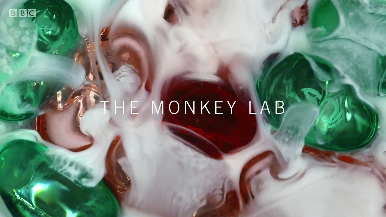 BBC3_The Monkey Lab 18Apr17 - video Dailymotion