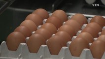 [경북] 달걀 9만6천 개 올해 첫 홍콩 수출 / YTN