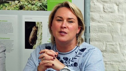 La Foret de Soignes à la fête ce dimanche - Celine Fremault