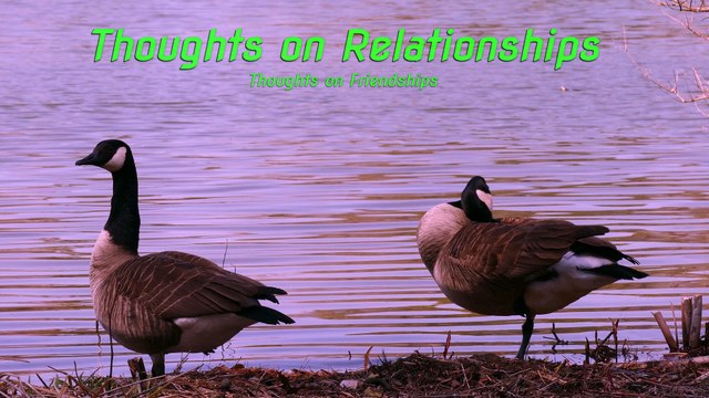 Friendships and Relationships