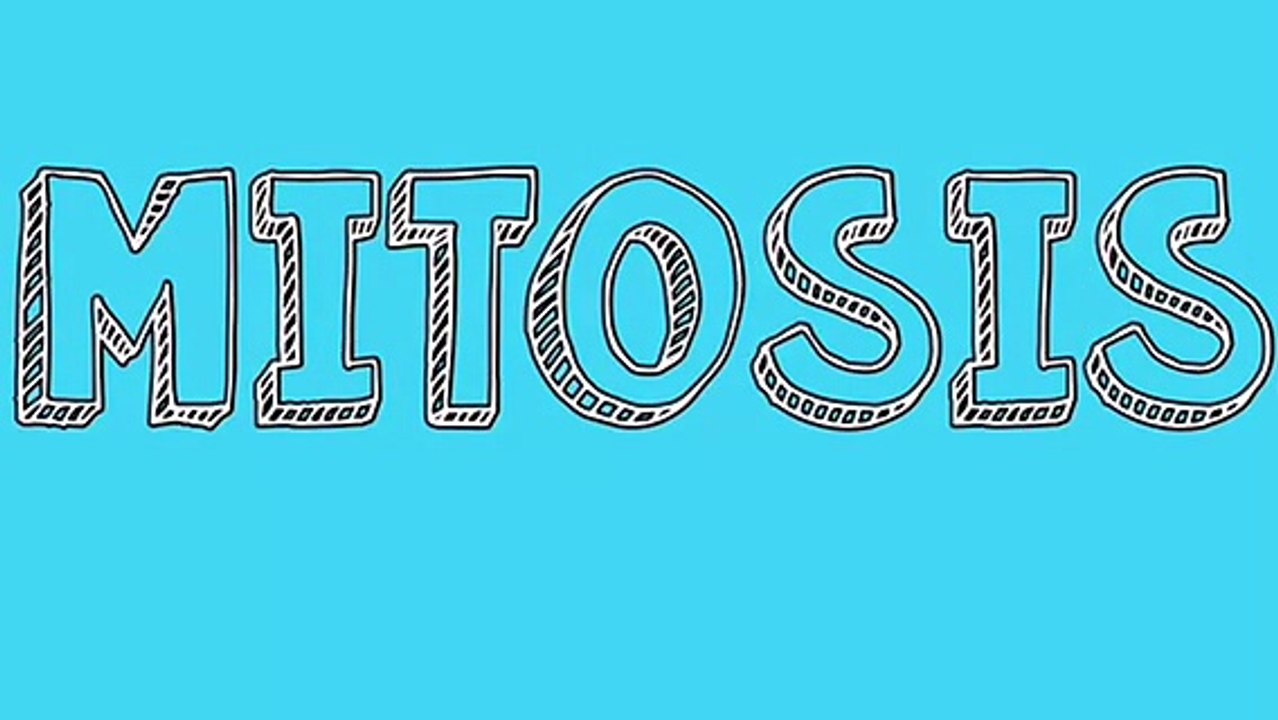 MITOSIS STOP MOTION
