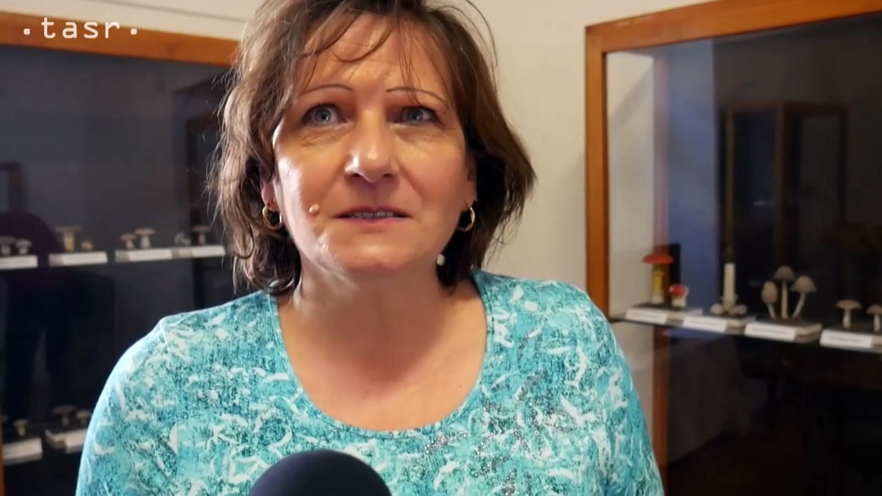 ZLATÉ MORAVCE: Výstava Huby našich lesov