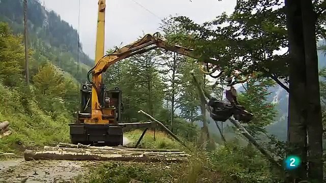 EL PARAÍSO DE LAS NUTRIAS Austria Grandes documentales