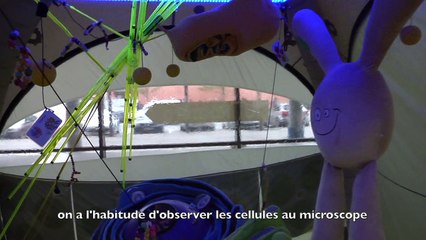 VIDEO - Fête de la Science à Évry avec Généthon - 2017-10-13