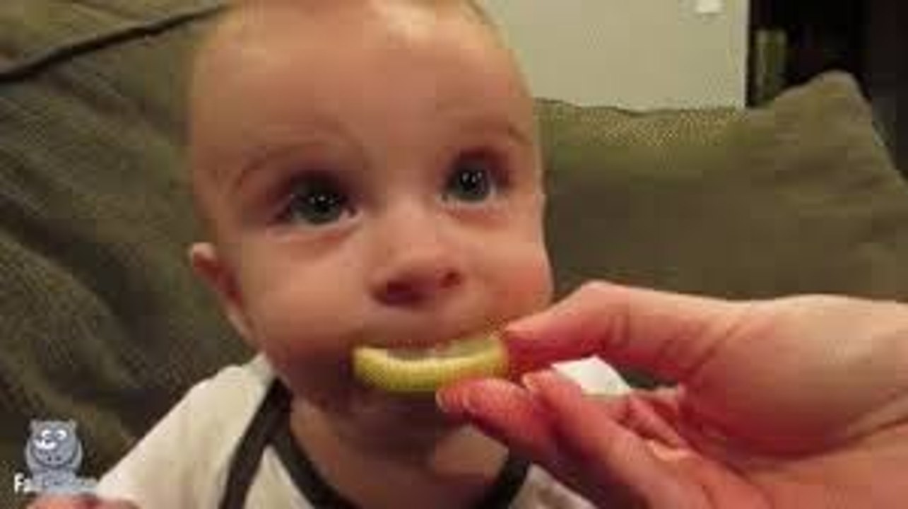 Kids Funny Video ★ Kids vs Lemon  ★