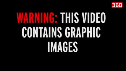 Çifti bën s*** në park, veprimi i vajzës habit akoma më tepër (360video)