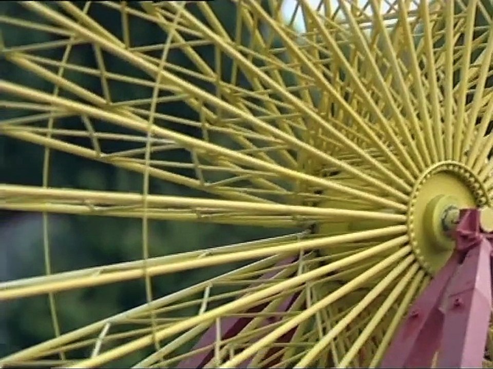 Une pincée de plumes