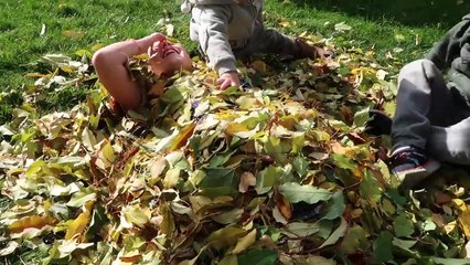 Painful to Watch: Cody Does the SPLITS