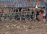 Počela setva pšenice, 13. oktobar 2017 (RTV Bor)