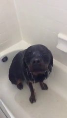 Surprise, regardez ce qu'elle trouve sous la douche!