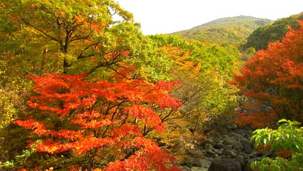 맑고 선선한 주말...단풍 남하 빨라진다 / YTN