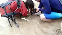 Une touriste stupide a essayé de prendre un selfie avec un bébé requin !