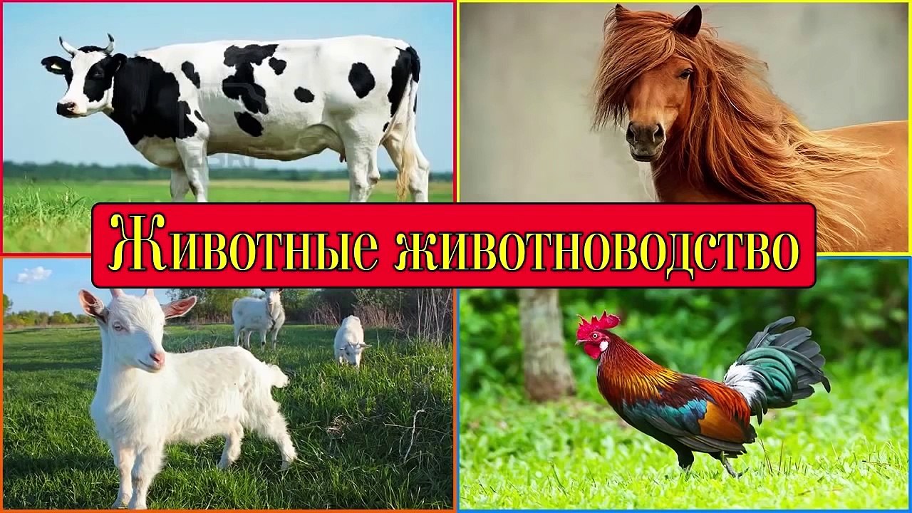 Транспорт для детей, изучаем машины и их звуки, мультфильм
