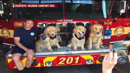 Download Video: Comfort Dog Returns from Las Vegas to Help Wildfire Evacuees