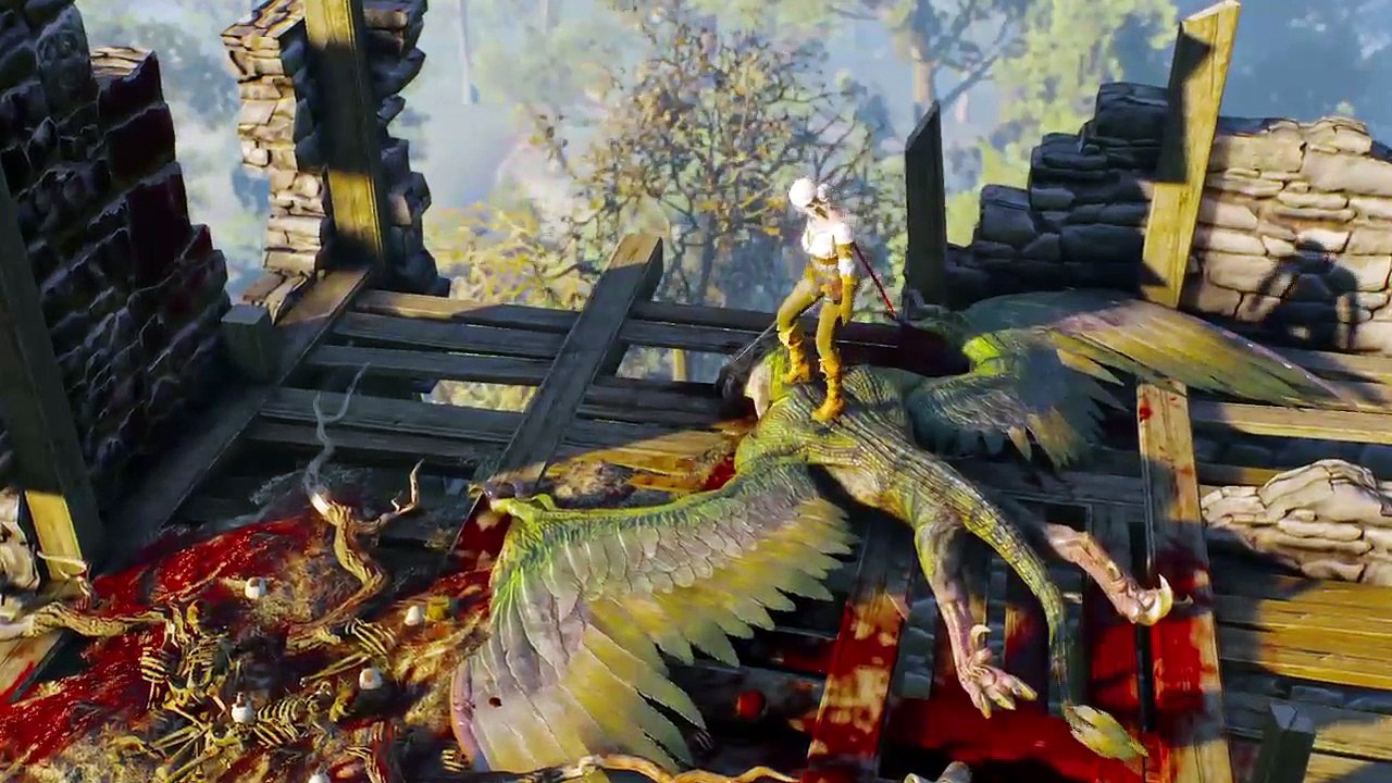 DonAleszandro The Witcher 3 «-Ciris Geschichte: Aus den Schatten-» (77)