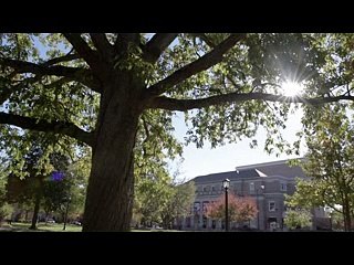 Neurofeedback and ADHD treatment in Chapel Hill NC