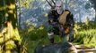DonAleszandro The Witcher 3 «-Kopfgeldaufträge mit dem Hexer Geralt-» (78)