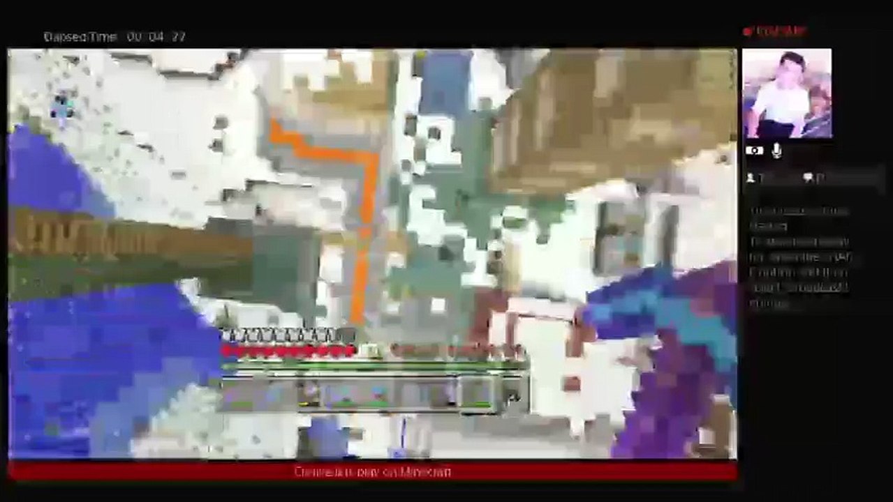 Minecraft (36)