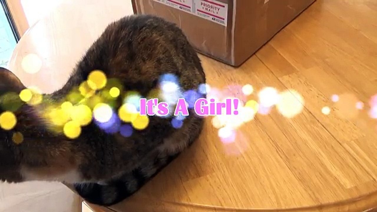 Opening My New Reborn Baby Girl Doll | Penny by Linda Murray CradleKits | Marleah Belle