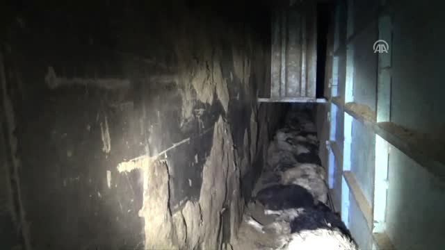 Siirt'te Küçükbaş Hayvan Yüklü Tır Devrildi