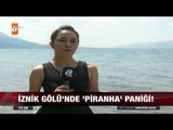 İznik Gölü'nde 'piranha' paniği - atv Ana Haber