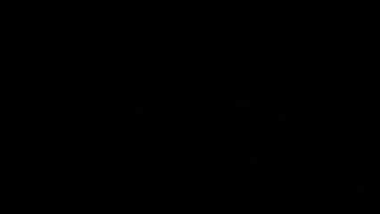 Tom e Jerry portugues brasil 2016 completo