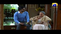 Mohabbat Tum Se Nafrat Hai - Episode 28 Geo tv drama