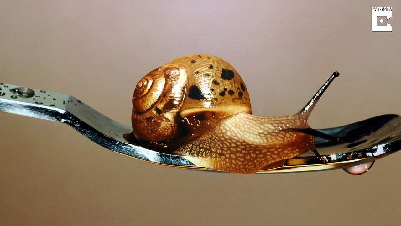 Is this real life? Artist creates amazing hyper realistic paintings