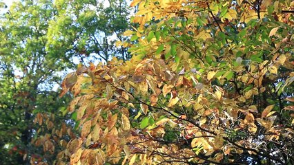 Van Life Cooking New Camper Van Kitchen Setup!