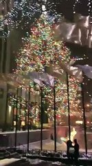 10 photos de New York sous la neige, plus belle que jamais