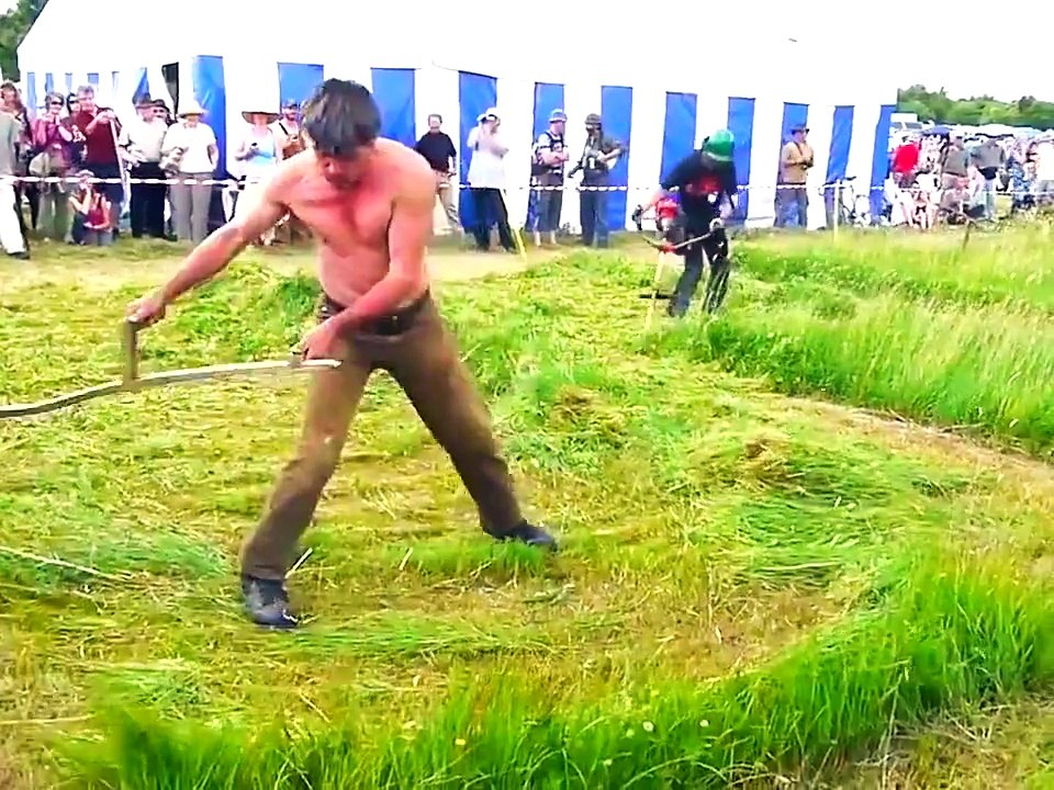 funny winners comedy funny videos