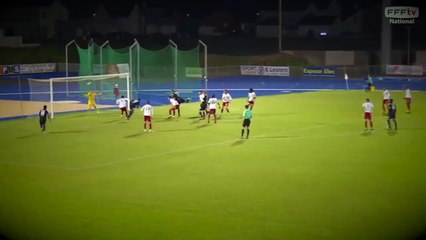 Magnifique tête de Tuta