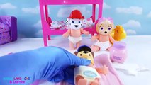 Paw Patrol Baby Dolls Diaper Changes and Bedtime Routine Best Kid Pretend Play Video for Kids