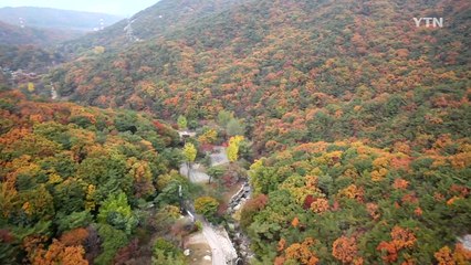 [날씨] 맑고 선선한 주말...내륙 곳곳 첫 단풍 / YTN