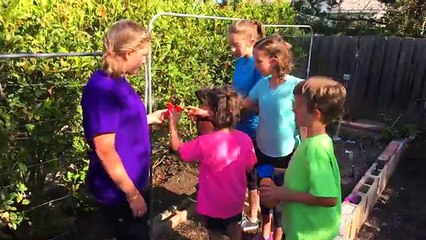 Learn English Words! Surprise Toy Potato Head with Sign Post Kids!