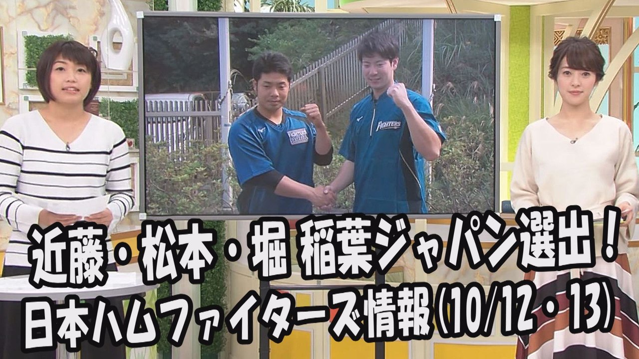 日本ハム 近藤健介・松本剛・堀瑞輝 稲葉ジャパン選出！ 2017.10.12・13 日本ハムフ...