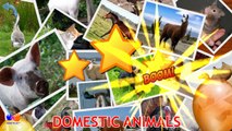 Animal Sounds for Children, Kids (60 Amazing Animals) | Handplaytv