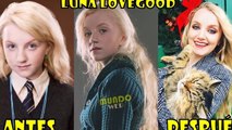 Harry Potter Antes y Despues 2017